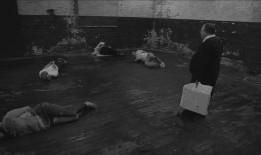 人体蜈蚣在线 观看,揭秘人体奥秘的惊悚之旅