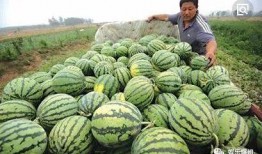 吃一口娱乐瓜,一嘴瓜料，带你领略明星幕后故事